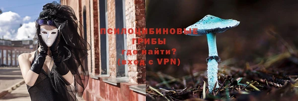меф Арсеньев