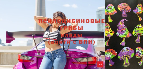 меф Арсеньев