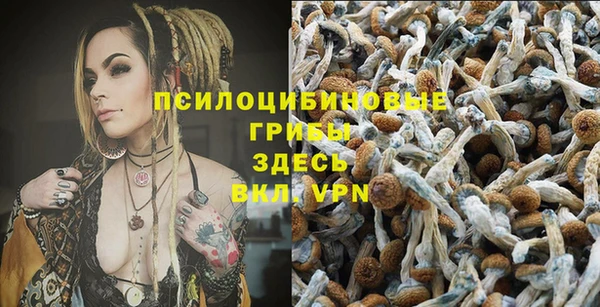 меф Арсеньев
