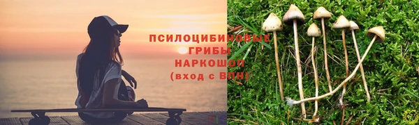 меф Арсеньев