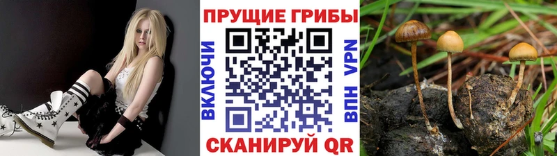 Псилоцибиновые грибы мицелий  МЕГА зеркало  Белебей 