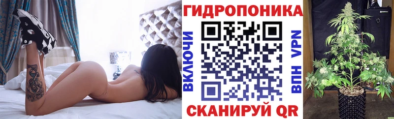 даркнет Telegram OMG как зайти Белебей МАРИХУАНА OG Kush